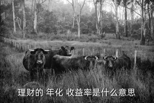 理財(cái)?shù)?年化 收益率是什么意思