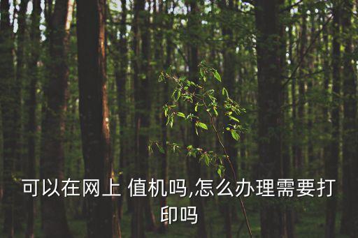 怎么值機,網(wǎng)上買飛機票怎么值機