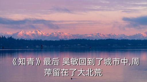 《知青》最后 吳敏回到了城市中,周萍留在了大北荒