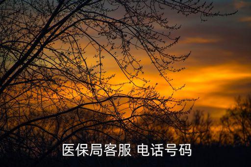 醫(yī)保咨詢電話,成都醫(yī)保咨詢電話