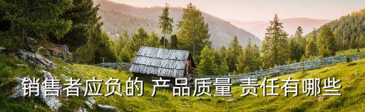產(chǎn)品質(zhì)量責任