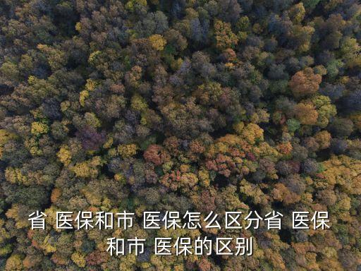 省 醫(yī)保和市 醫(yī)保怎么區(qū)分省 醫(yī)保和市 醫(yī)保的區(qū)別