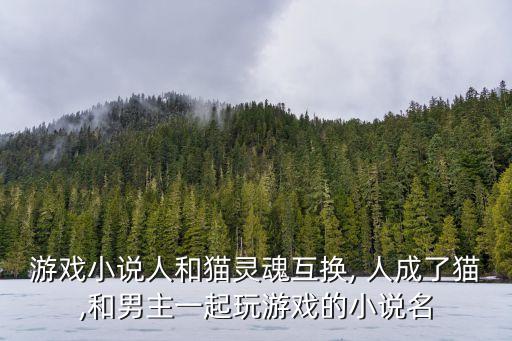 游戲小說(shuō)人和貓靈魂互換, 人成了貓,和男主一起玩游戲的小說(shuō)名
