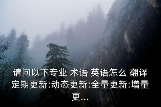 請(qǐng)問以下專業(yè) 術(shù)語(yǔ) 英語(yǔ)怎么 翻譯定期更新:動(dòng)態(tài)更新:全量更新:增量更...