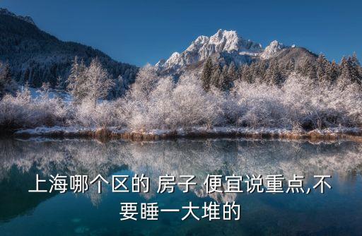 上海哪個區(qū)的 房子 便宜說重點,不要睡一大堆的
