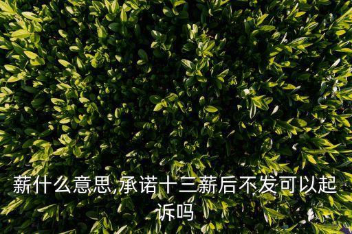 18薪什么意思,承諾十三薪后不發(fā)可以起訴嗎