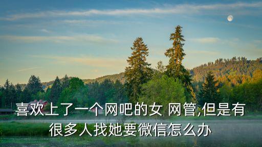 喜歡上了一個網(wǎng)吧的女 網(wǎng)管,但是有很多人找她要微信怎么辦