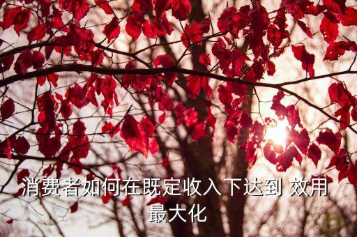 消費(fèi)者如何在既定收入下達(dá)到 效用 最大化