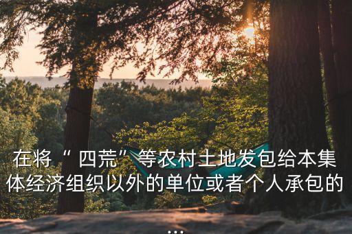 四荒