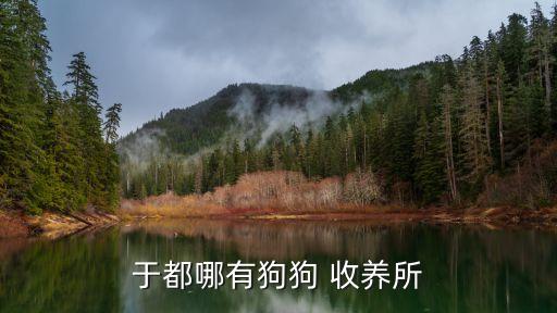 寵物收養(yǎng)中心