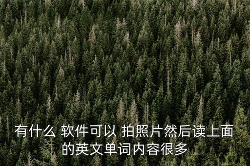 英語作文翻譯軟件拍照,翻譯器拍照掃一掃