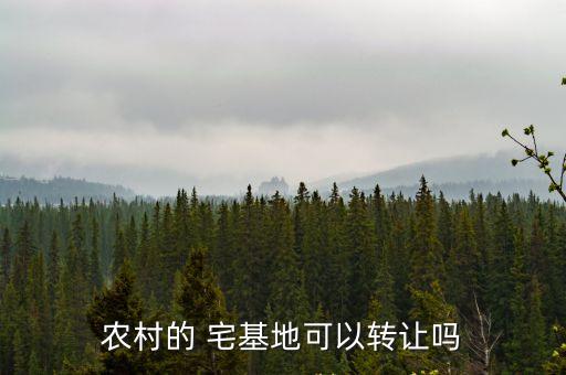 宅基地出售,北京農(nóng)村宅基地出售
