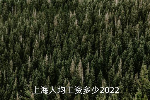  上海人均工資多少2022