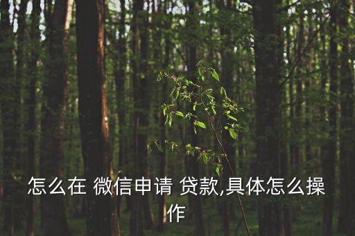 微信上怎么貸款借錢