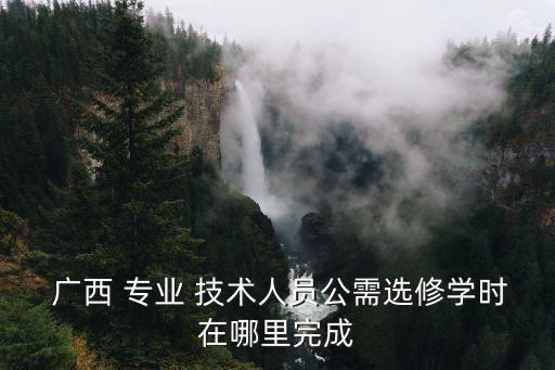  廣西 專業(yè) 技術人員公需選修學時在哪里完成