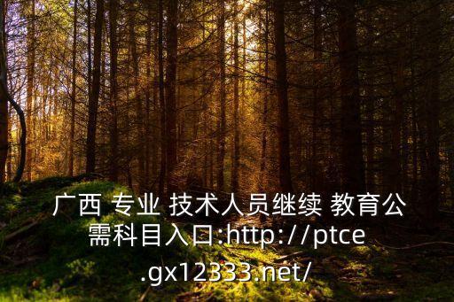  廣西 專業(yè) 技術人員繼續(xù) 教育公需科目入口:http://ptce.gx12333.net/