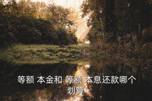 等額本金和等額本息哪個好,如果要提前還款等額本金和等額本息哪個好