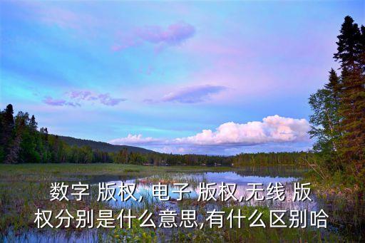 數(shù)字 版權(quán), 電子 版權(quán),無線 版權(quán)分別是什么意思,有什么區(qū)別哈