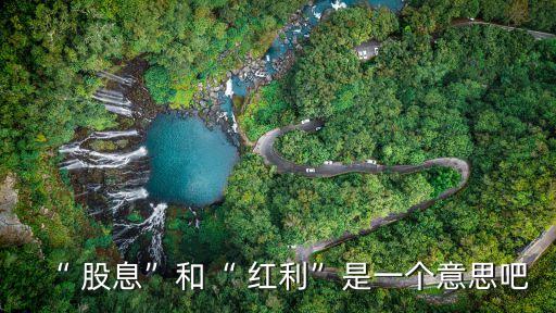 股息和紅利的區(qū)別,股息率6.5 一年賺多少錢(qián)