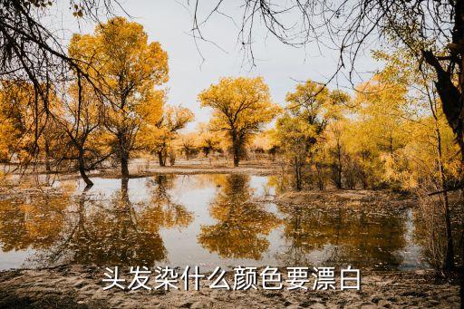 漂發(fā)多少錢,發(fā)色1到10度色度圖表