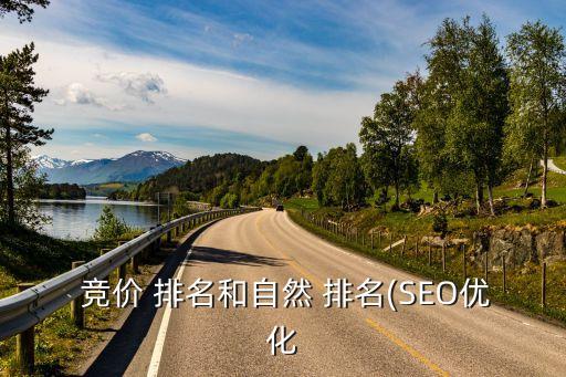  競(jìng)價(jià) 排名和自然 排名(SEO優(yōu)化