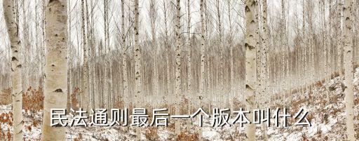 民法典272條