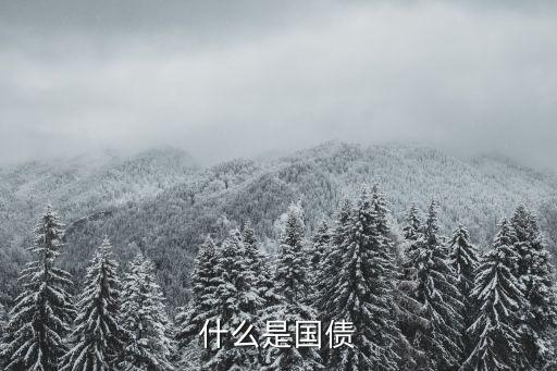 什么是國債