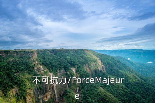  不可抗力/ForceMajeure