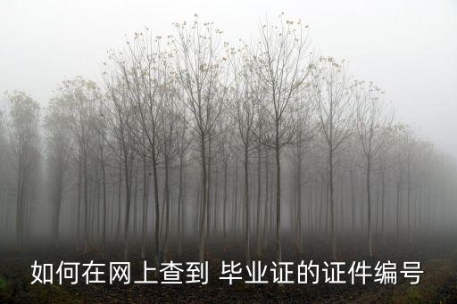 如何在網(wǎng)上查到 畢業(yè)證的證件編號