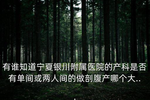 有誰(shuí)知道寧夏銀川附屬醫(yī)院的產(chǎn)科是否有單間或兩人間的做剖腹產(chǎn)哪個(gè)大...