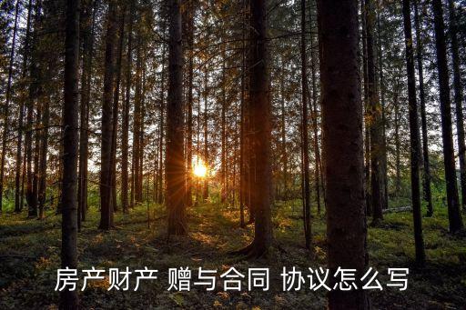 房產(chǎn)財(cái)產(chǎn) 贈(zèng)與合同 協(xié)議怎么寫