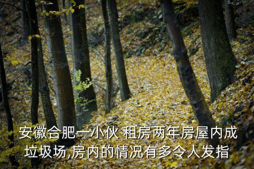  安徽合肥一小伙 租房兩年房屋內(nèi)成垃圾場,房內(nèi)的情況有多令人發(fā)指