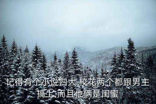 記得有個(gè)小說四大 ?；▋蓚€(gè)都跟男主搞上,而且他倆是閨蜜
