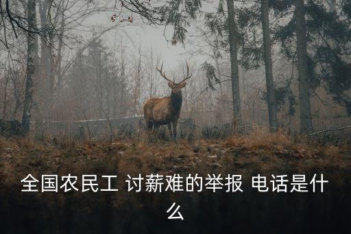 勞動局討薪電話多少,農(nóng)民工討薪勞動局不管怎么辦