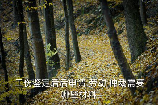 工傷勞動(dòng)仲裁需要什么資料,工傷私了還是仲裁好