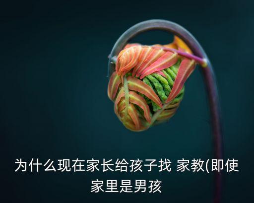 女家教老師