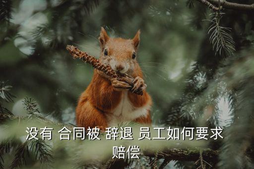 沒(méi)有 合同被 辭退 員工如何要求 賠償