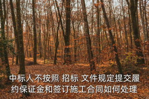 招標(biāo)后不按招標(biāo)文件執(zhí)行,招標(biāo)文件是招標(biāo)過程中最重要的法律文件