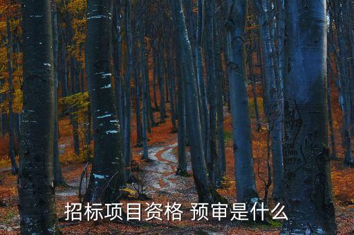 招標(biāo)項目資格 預(yù)審是什么