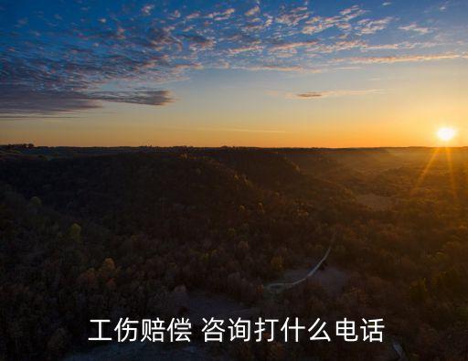 12333工傷咨詢,農(nóng)民工工傷找哪個部門最快最有效
