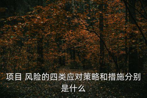 項目 風(fēng)險的四類應(yīng)對策略和措施分別是什么