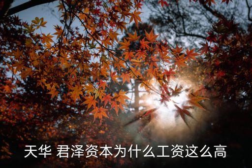 君澤