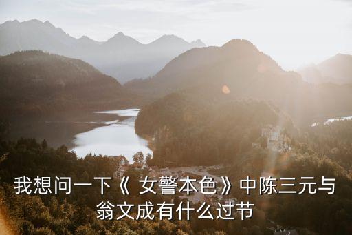 我想問一下《 女警本色》中陳三元與翁文成有什么過節(jié)