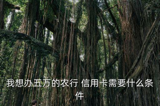 我想辦五萬的農(nóng)行 信用卡需要什么條件