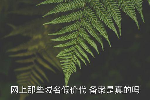 網(wǎng)站代備案