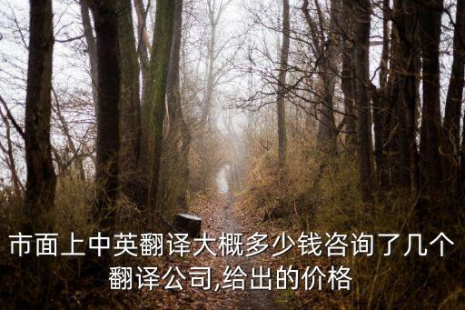 中譯英費用,論文翻譯中譯英