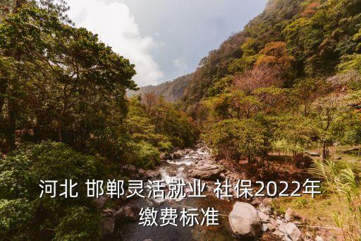 河北 邯鄲靈活就業(yè) 社保2022年繳費(fèi)標(biāo)準(zhǔn)