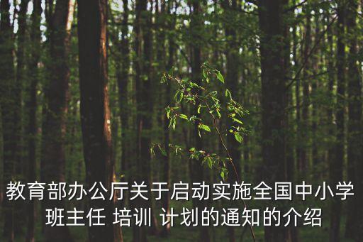 班主任培訓(xùn)計(jì)劃,2021年小學(xué)班主任培訓(xùn)計(jì)劃