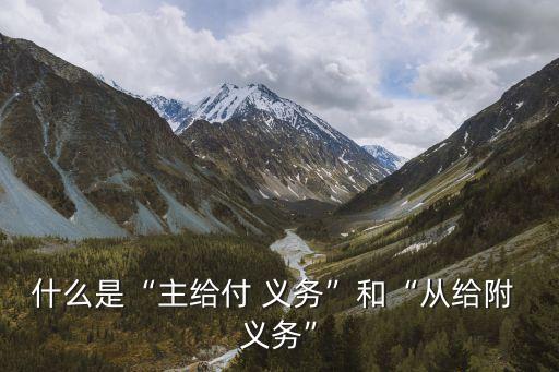 買賣合同的附隨義務,合同買賣糾紛屬于什么案件