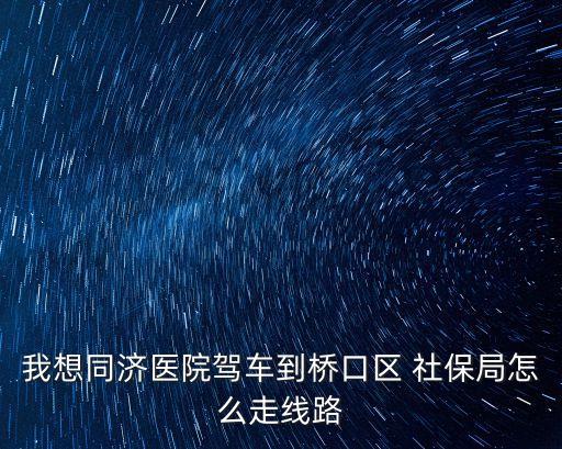 硚口區(qū)社保局,武昌火車站到硚口區(qū)社保局